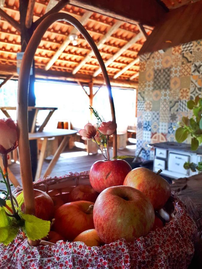 Fazenda Invernada Grande Turismo Rural 邦雅尔丁-达塞拉 外观 照片