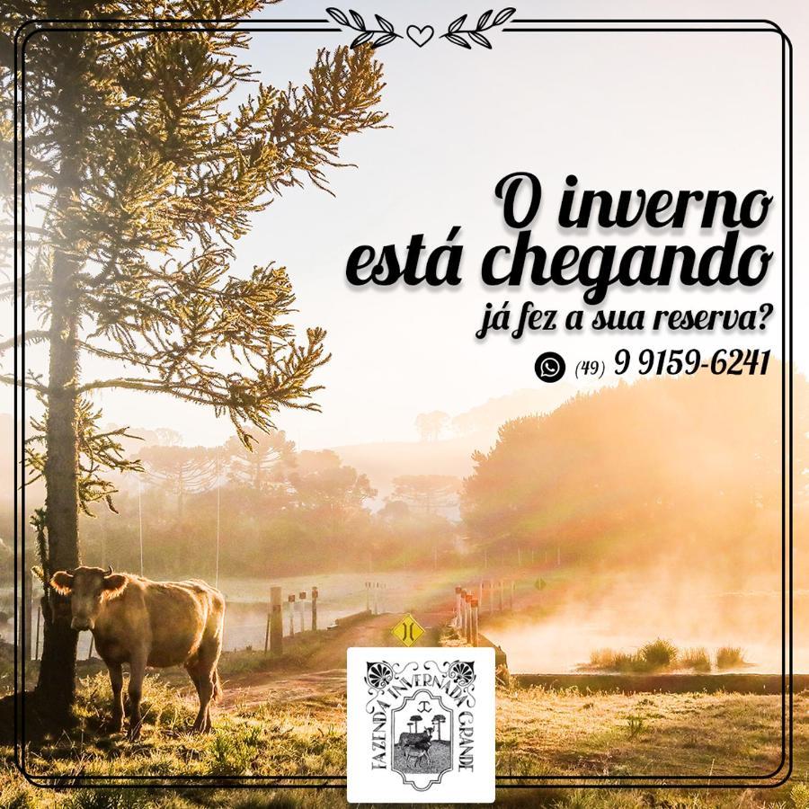 Fazenda Invernada Grande Turismo Rural 邦雅尔丁-达塞拉 外观 照片