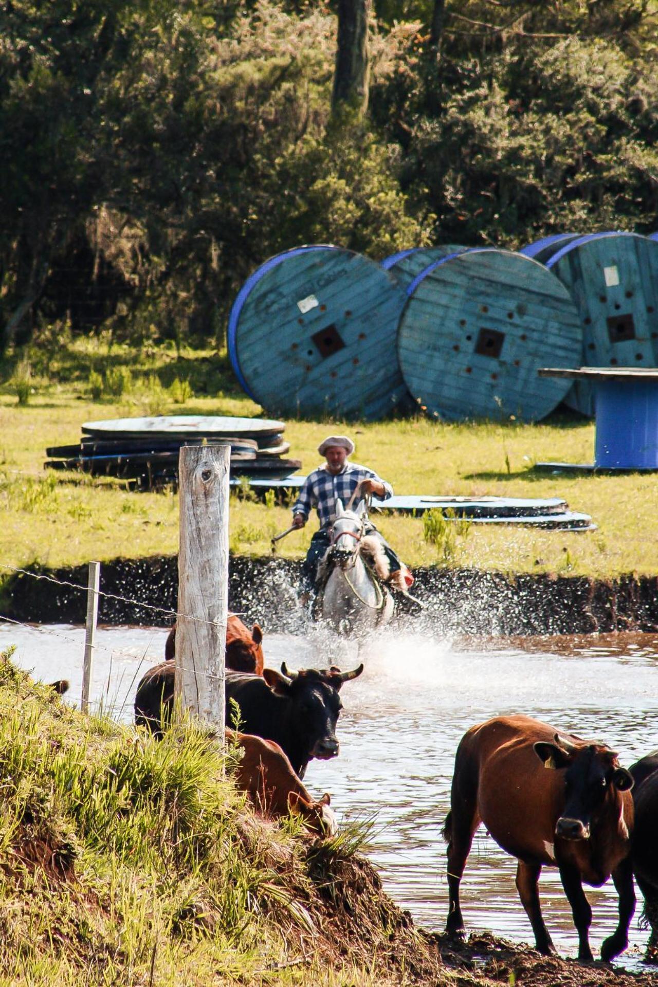 Fazenda Invernada Grande Turismo Rural 邦雅尔丁-达塞拉 外观 照片